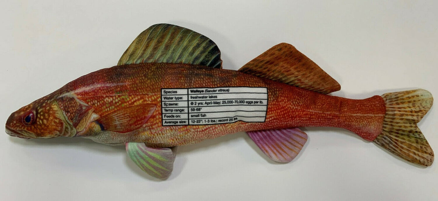 Walleye FishTarget back
