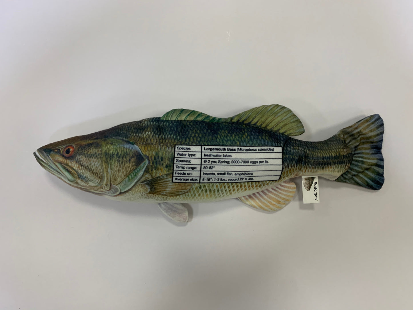 Largemouth Bass FishTarget back