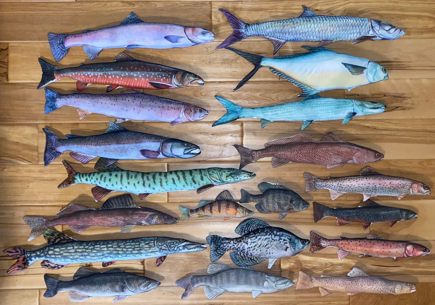 FishTargets Collection