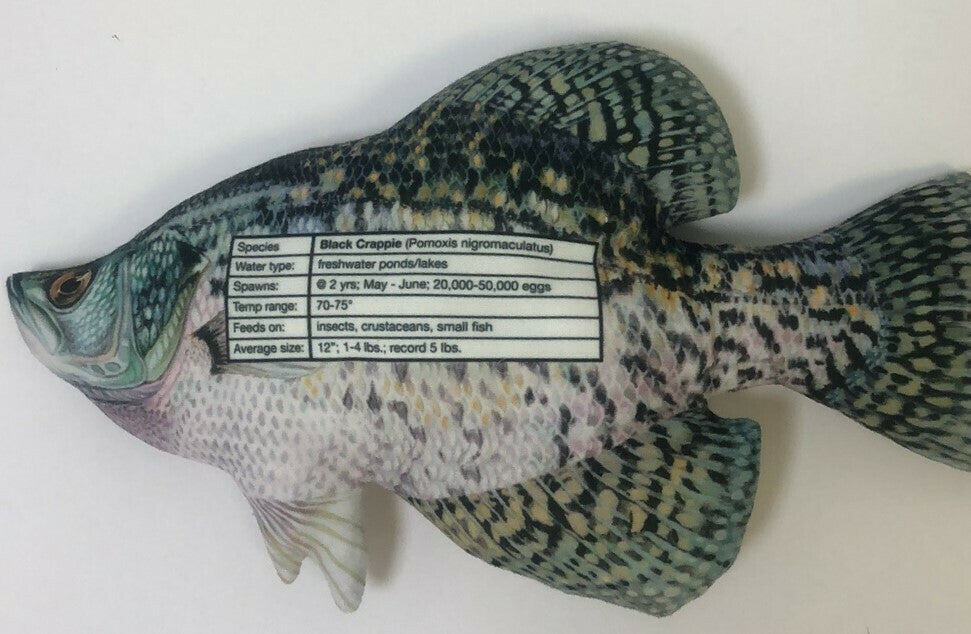 Crappie FishTarget back