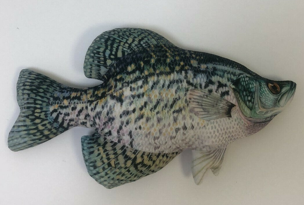 Crappie FishTarget front