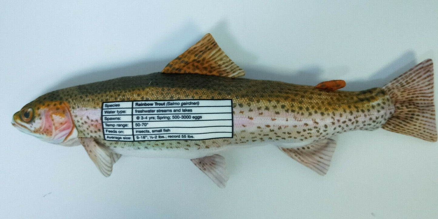 Rainbow Trout FishTarget back
