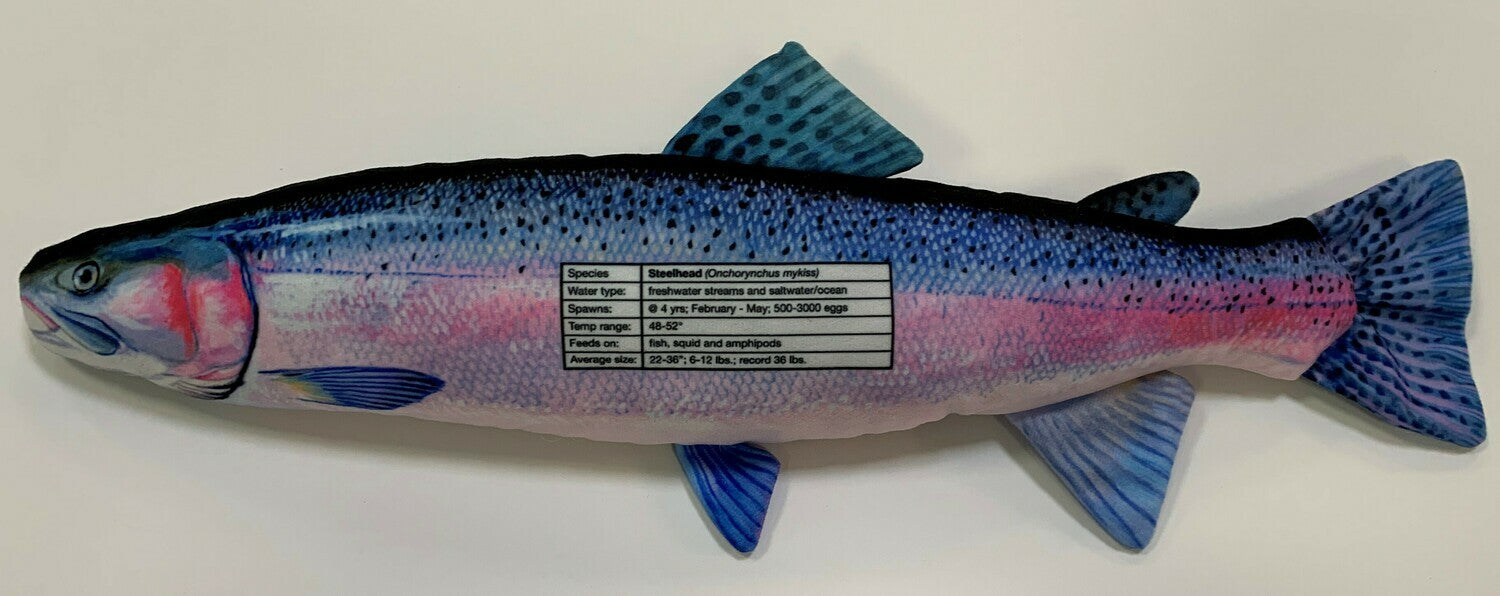 Steelhead FishTarget back