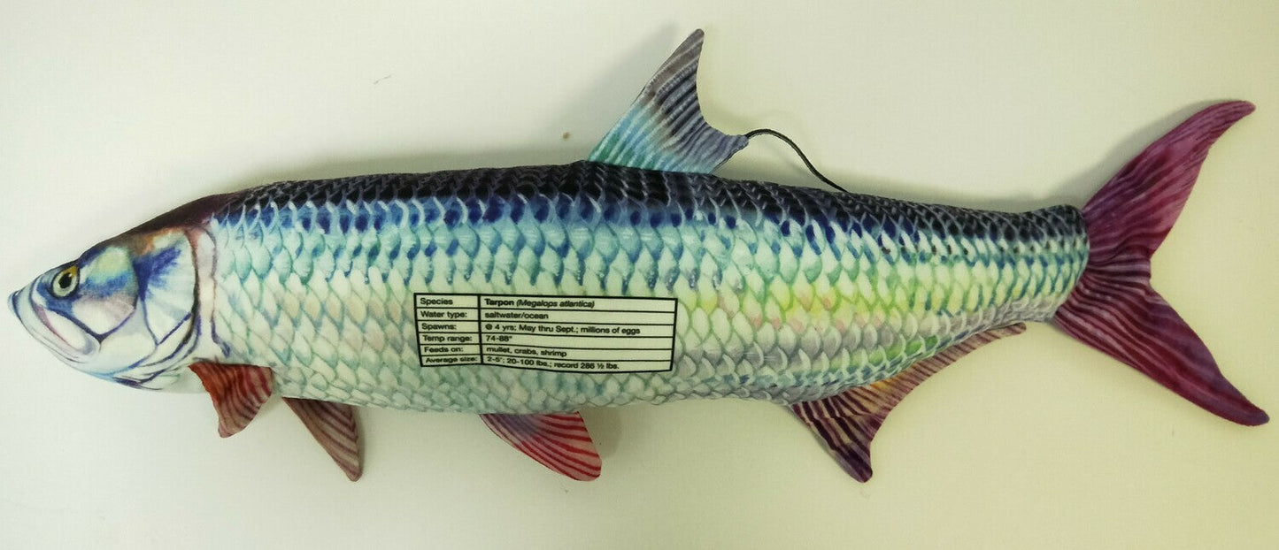 Tarpon FishTarget back
