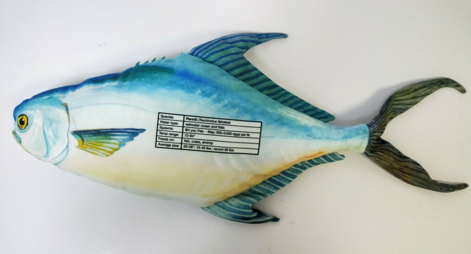 Permit FishTarget back