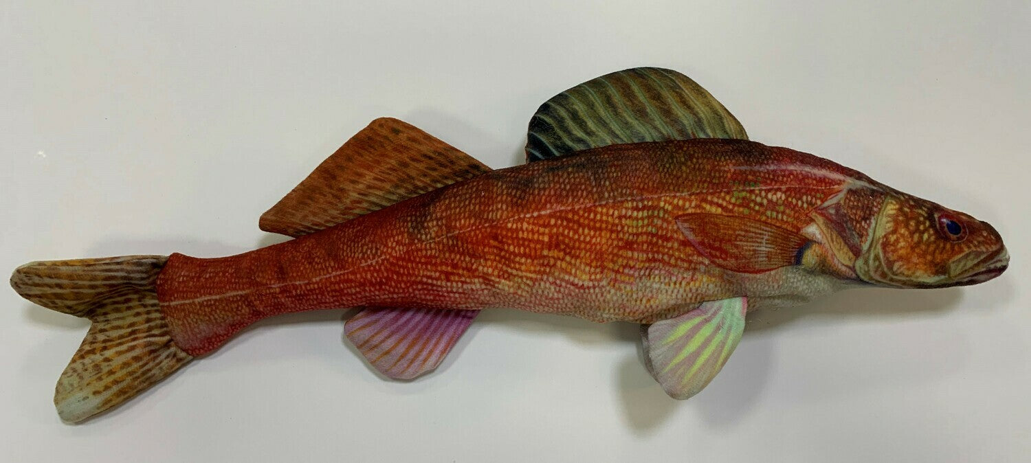 Walleye FishTarget front