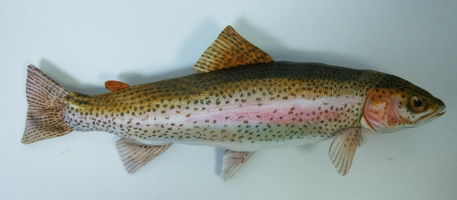Rainbow Trout FishTarget front