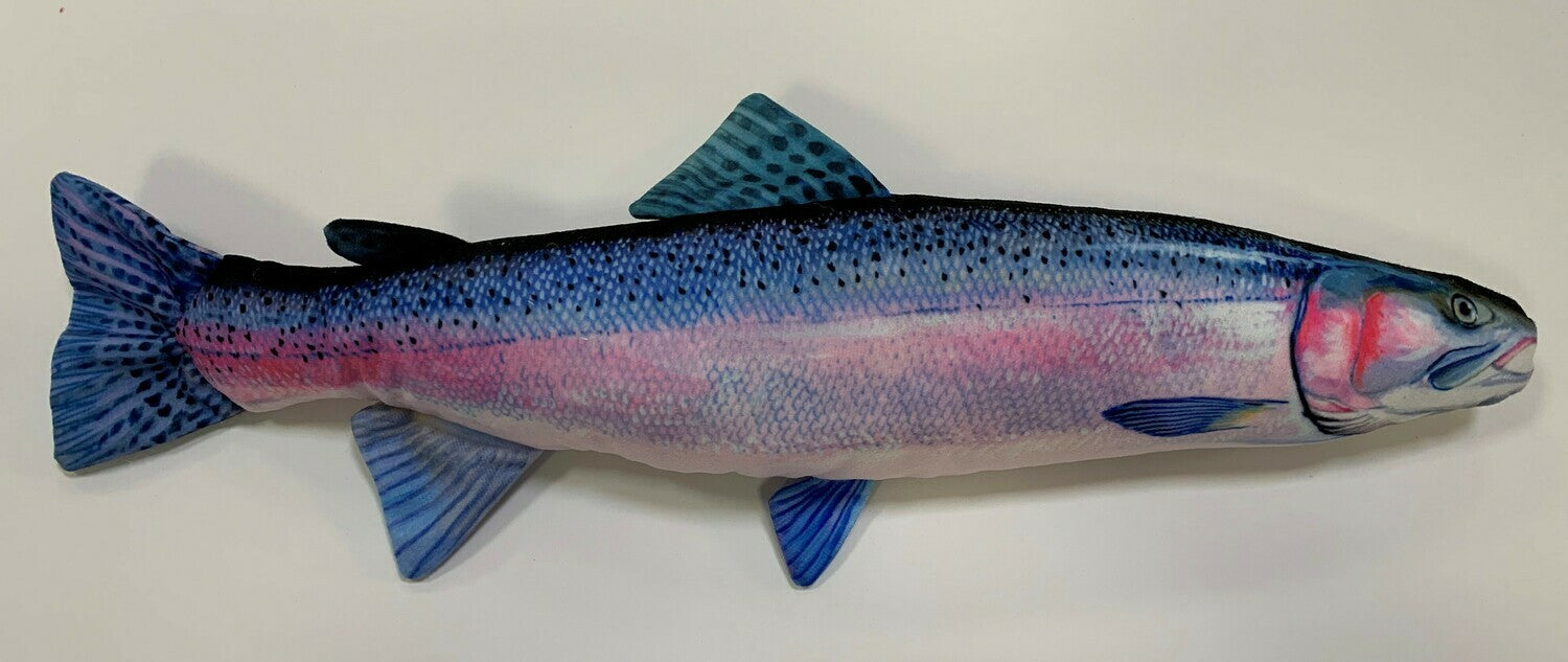 Steelhead FishTarget front