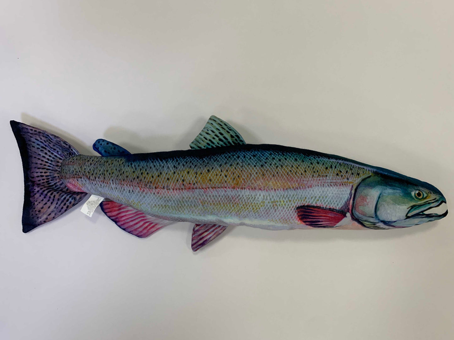 Chinook Salmon FishTarget front