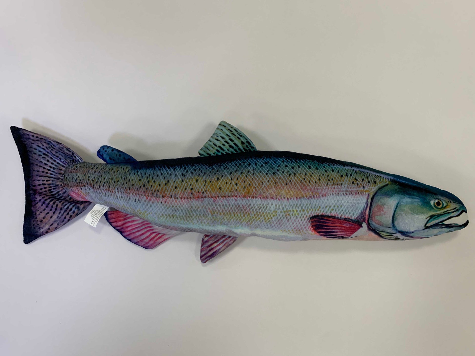 Chinook Salmon FishTarget front