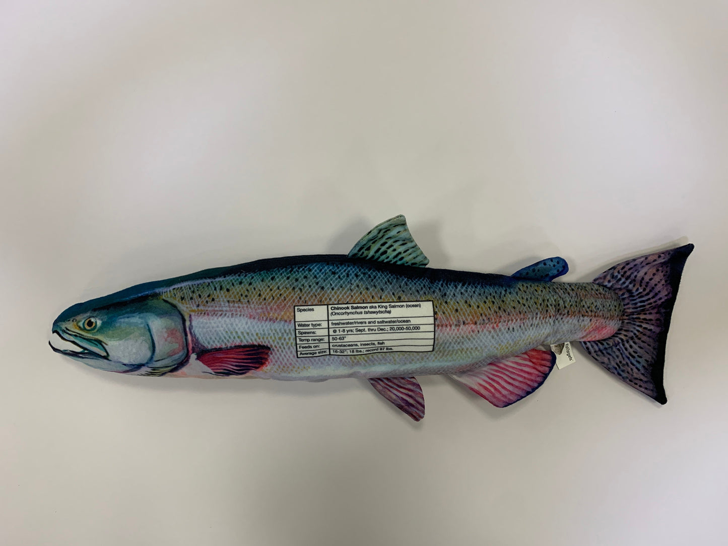 Chinook Salmon FishTarget back