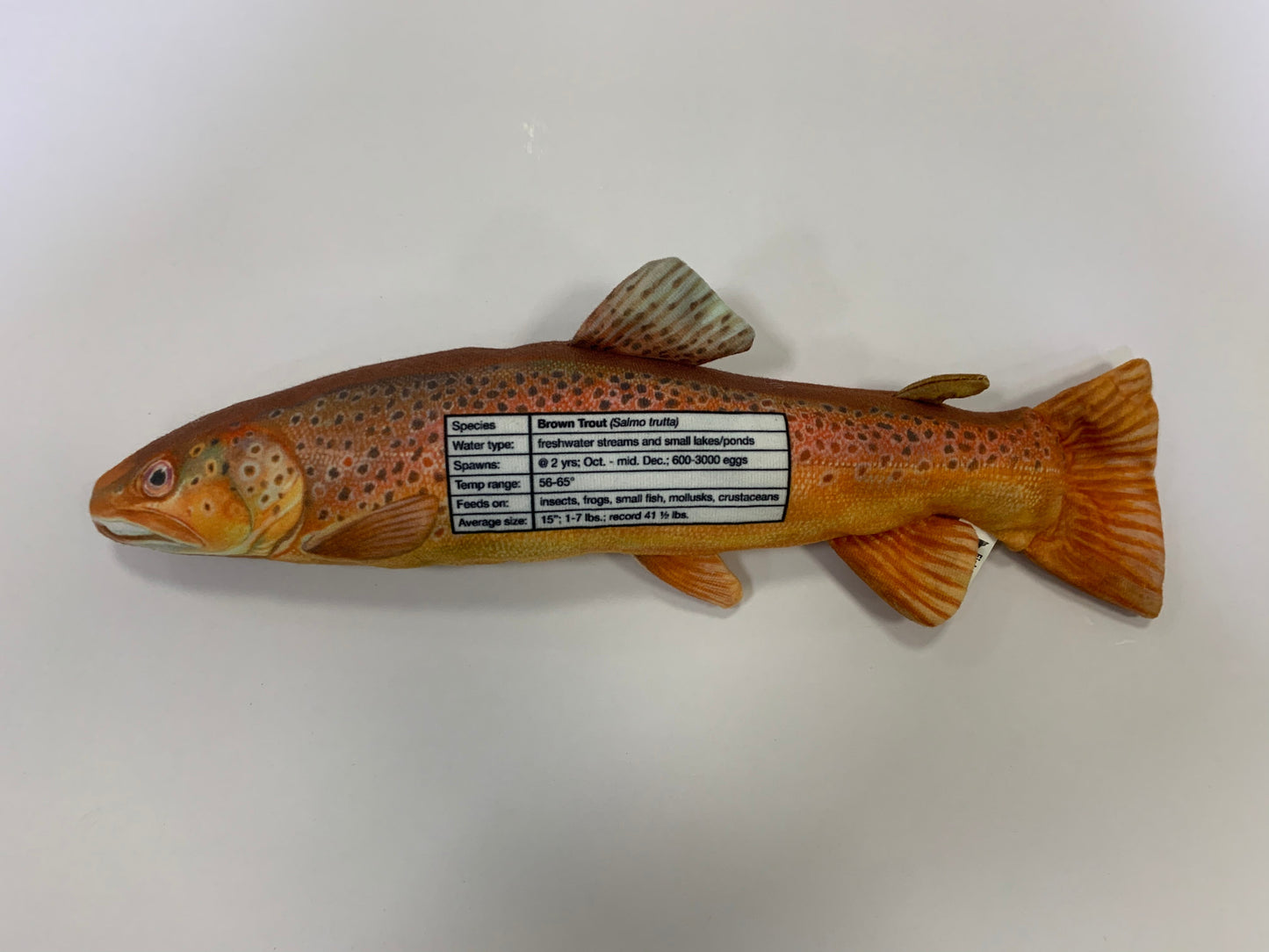 Brown Trout FishTarget back