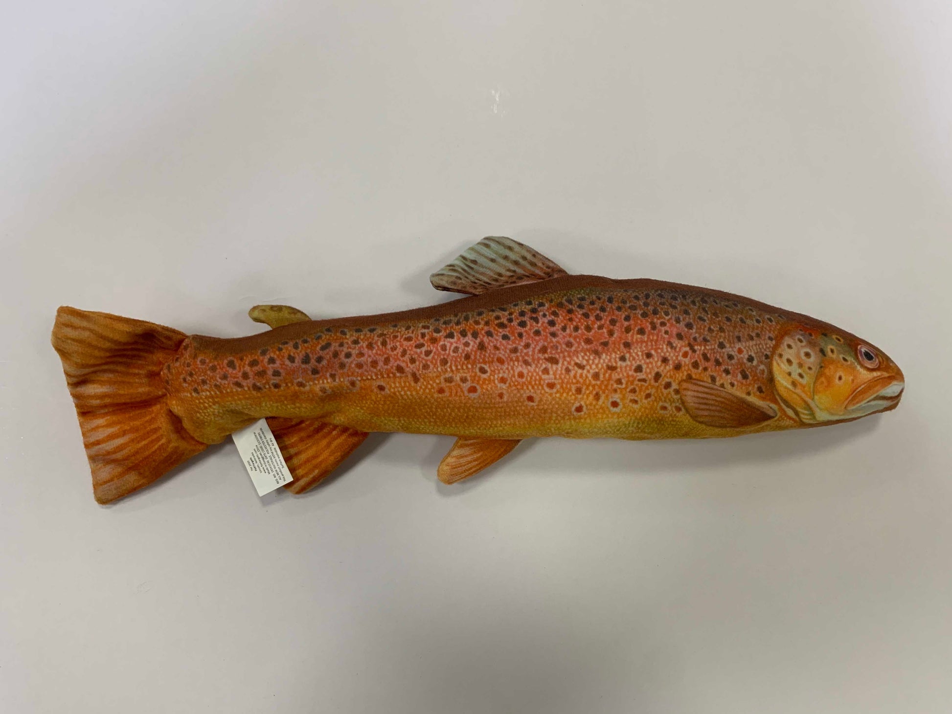 Brown Trout FishTarget front