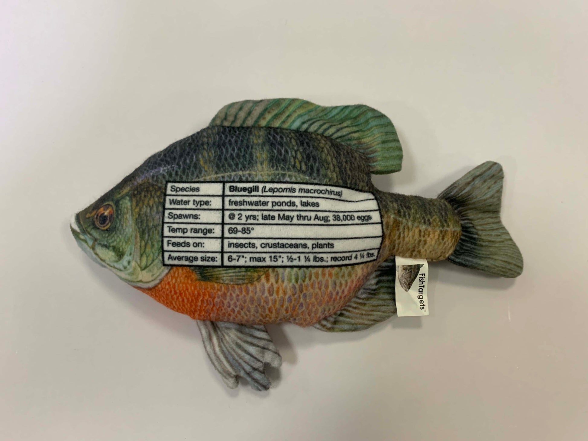 Bluegill FishTarget back