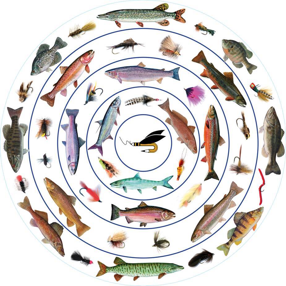 CAFCAA Bullseye CasTarget