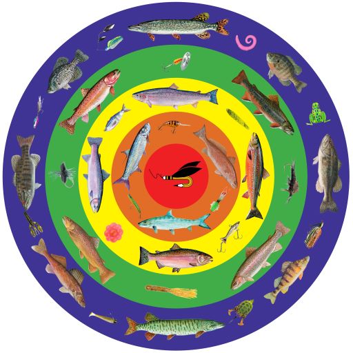 CALCAS Bullseye CasTarget