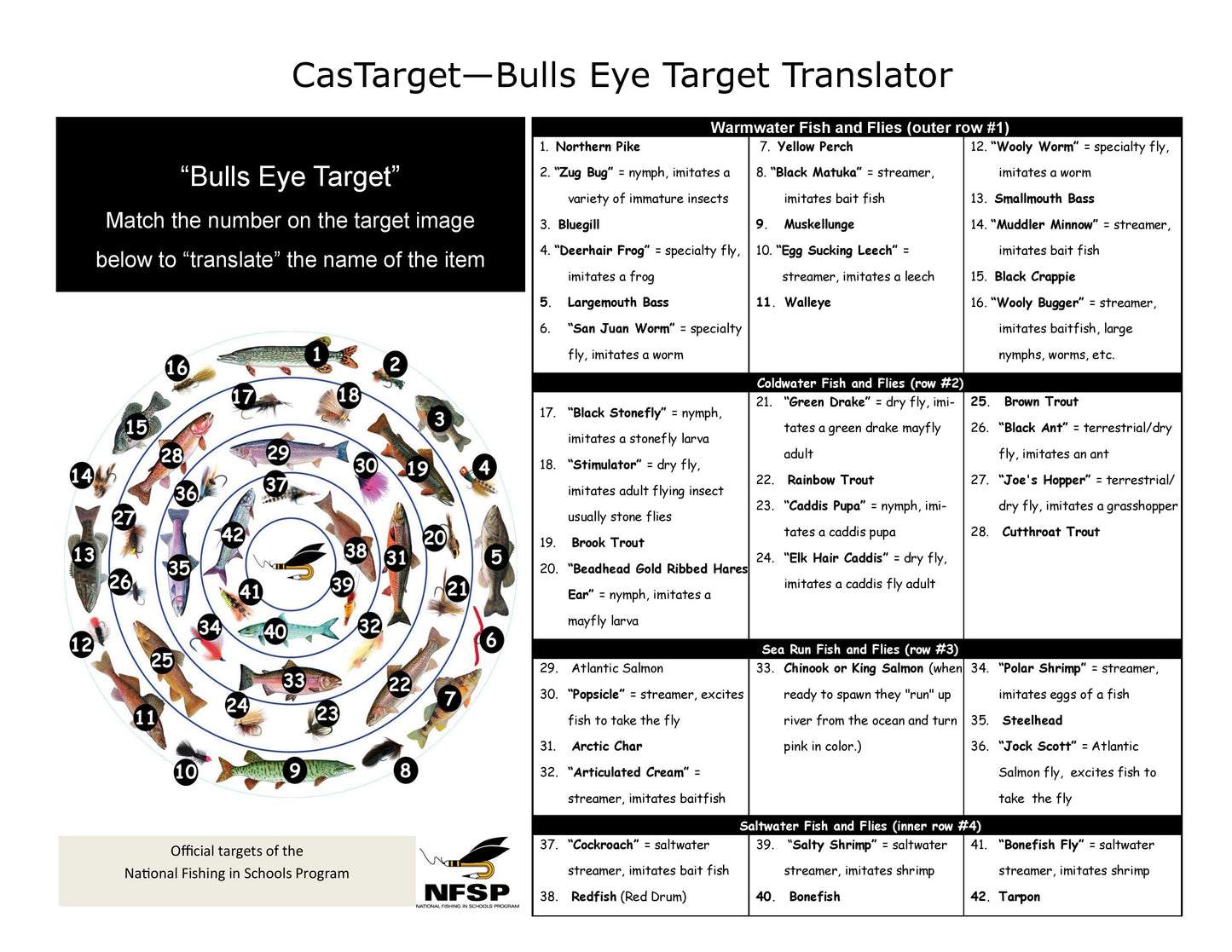 Bullseye CAFCAS CasTarget